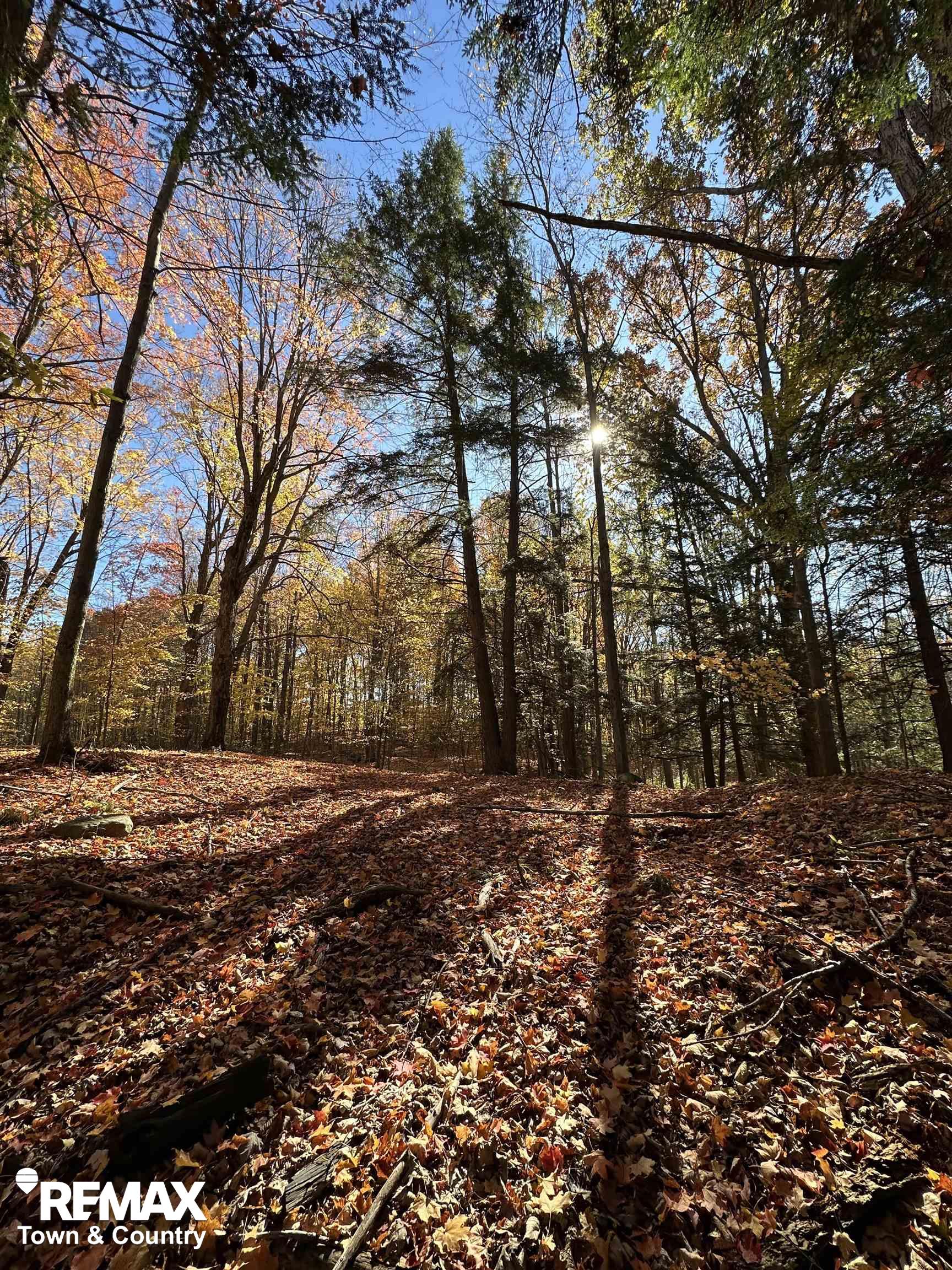 3077 Phelps Lake Road