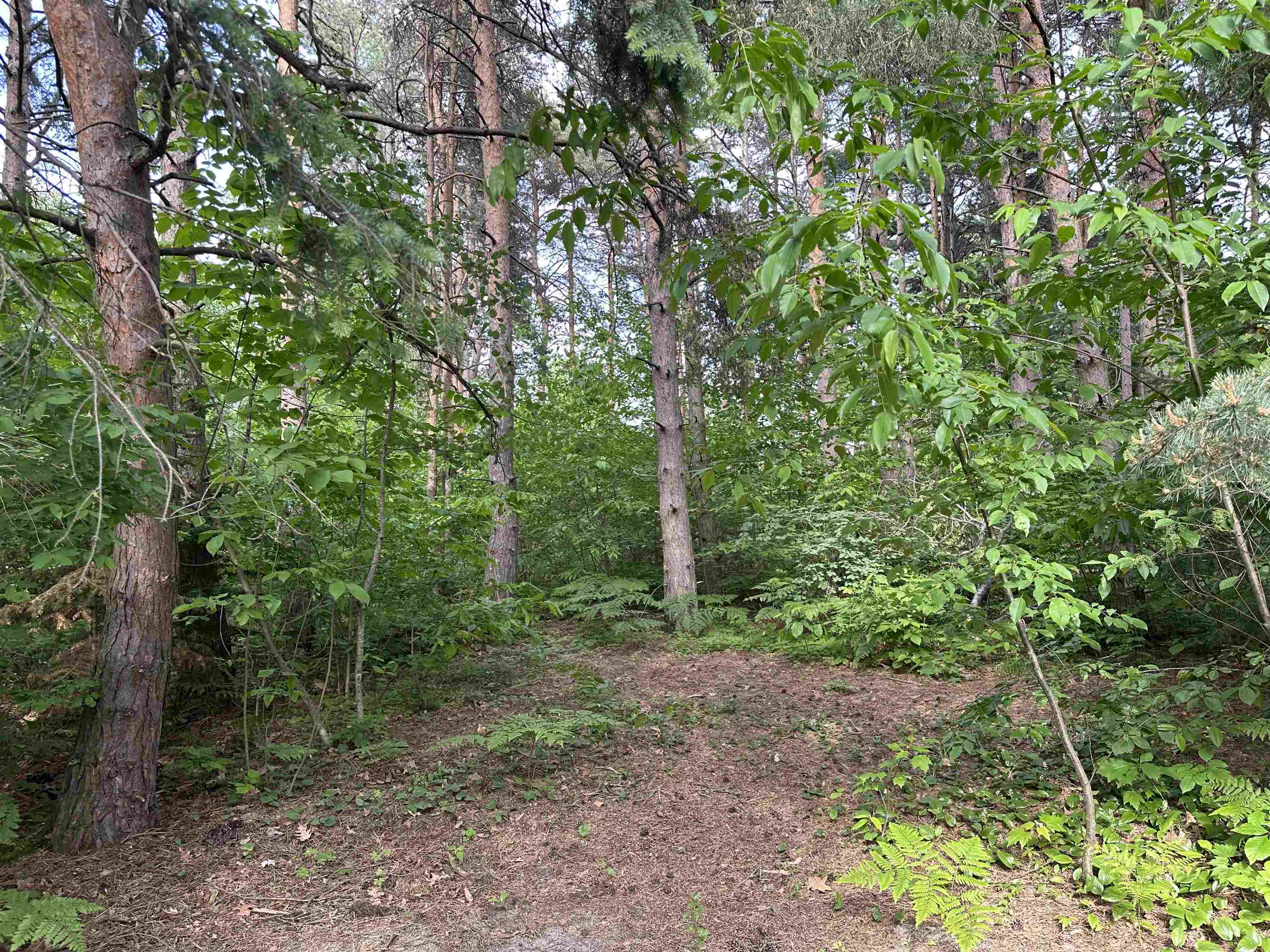 0 Forest Drive
