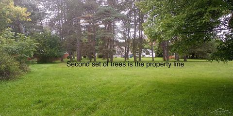 0 Simons Street Coleman City MI 48618