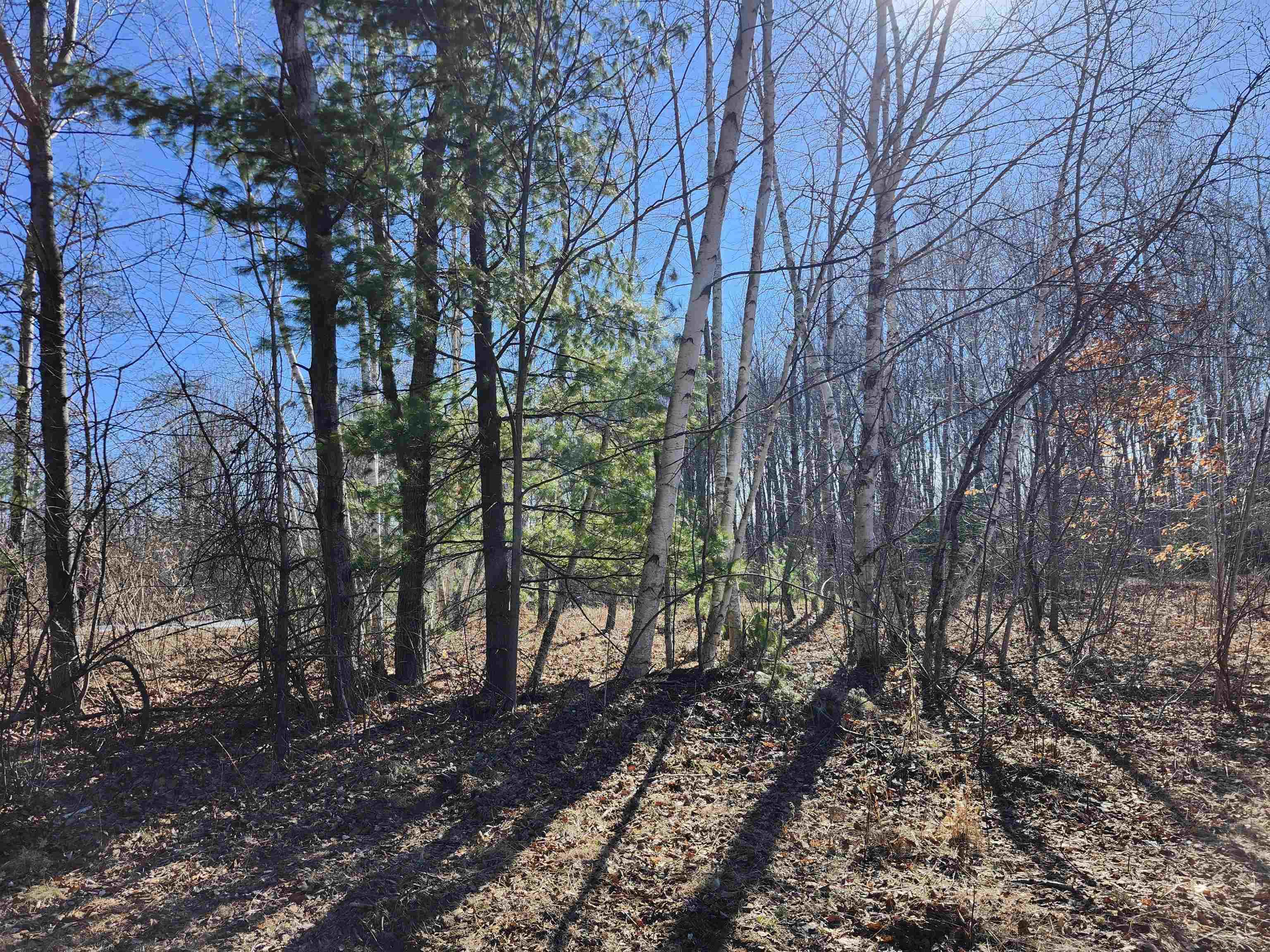 5898 N Sturgeon Road