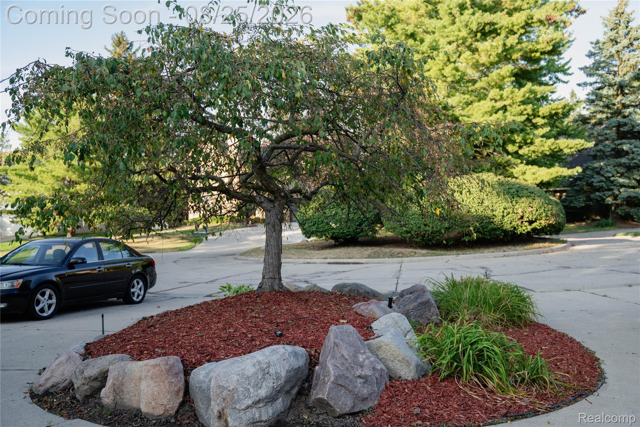 31033 Evergreen Court