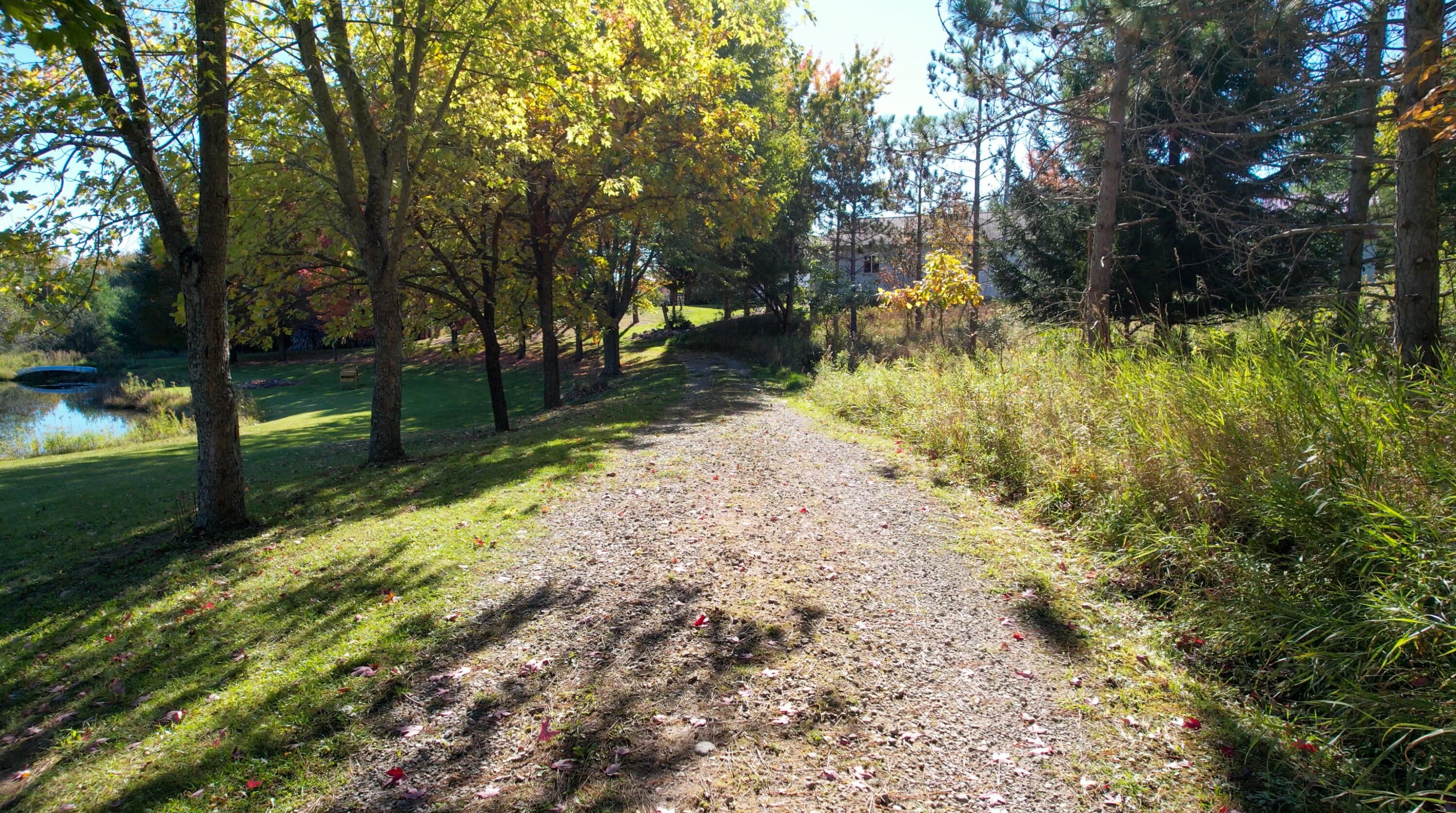 1542 Campbell Road