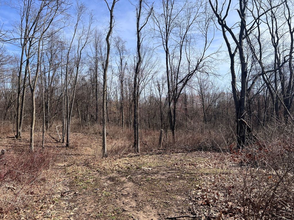 listing image 56