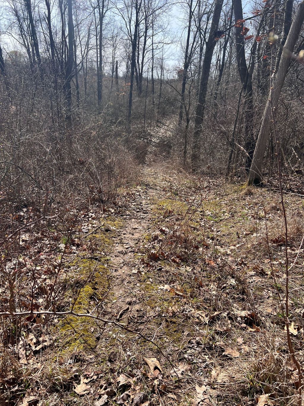 listing image 57