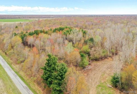 7000 Canada Road Birch Run Township MI 48415