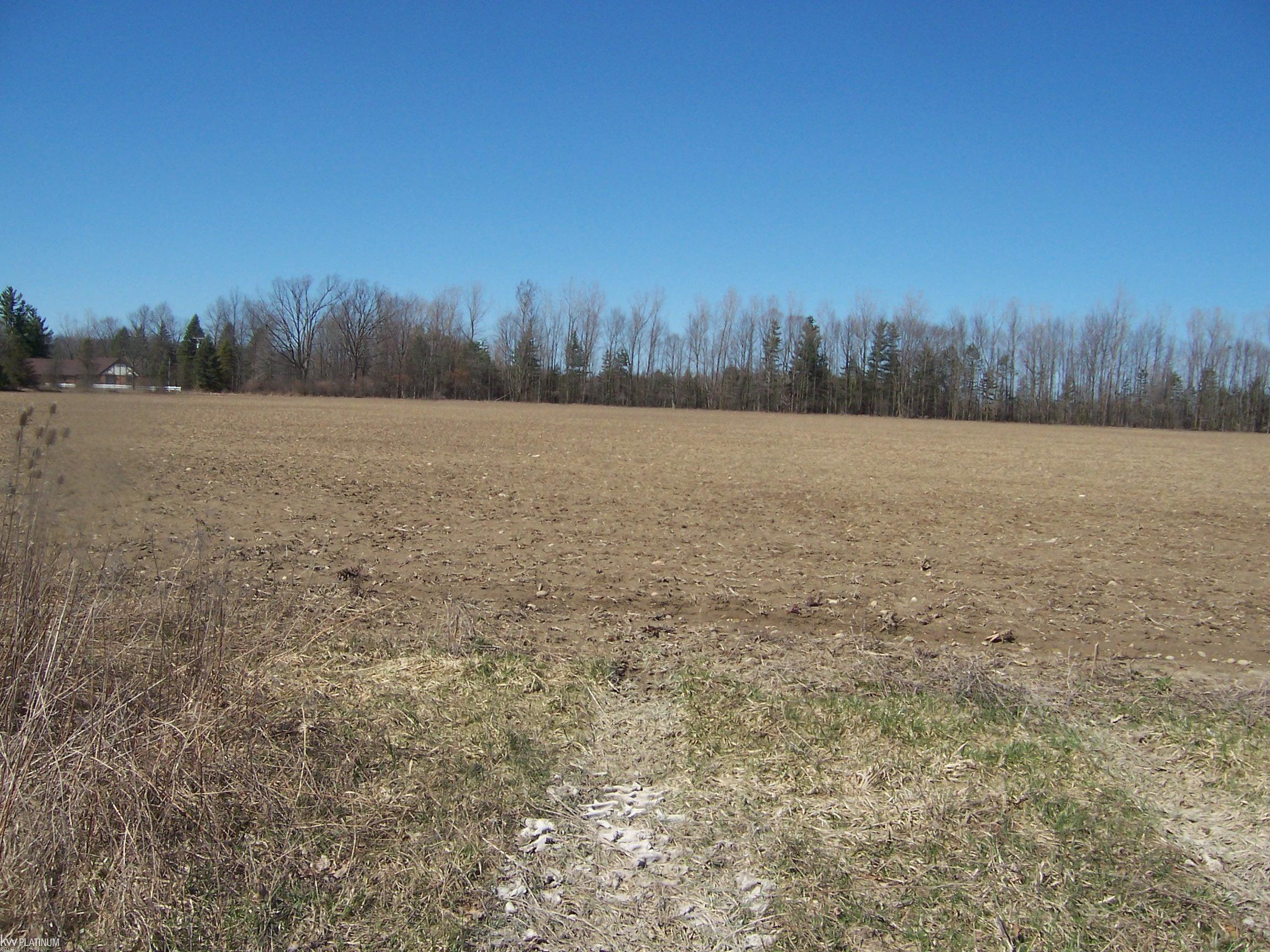 Lot 4 Beard Rd Road