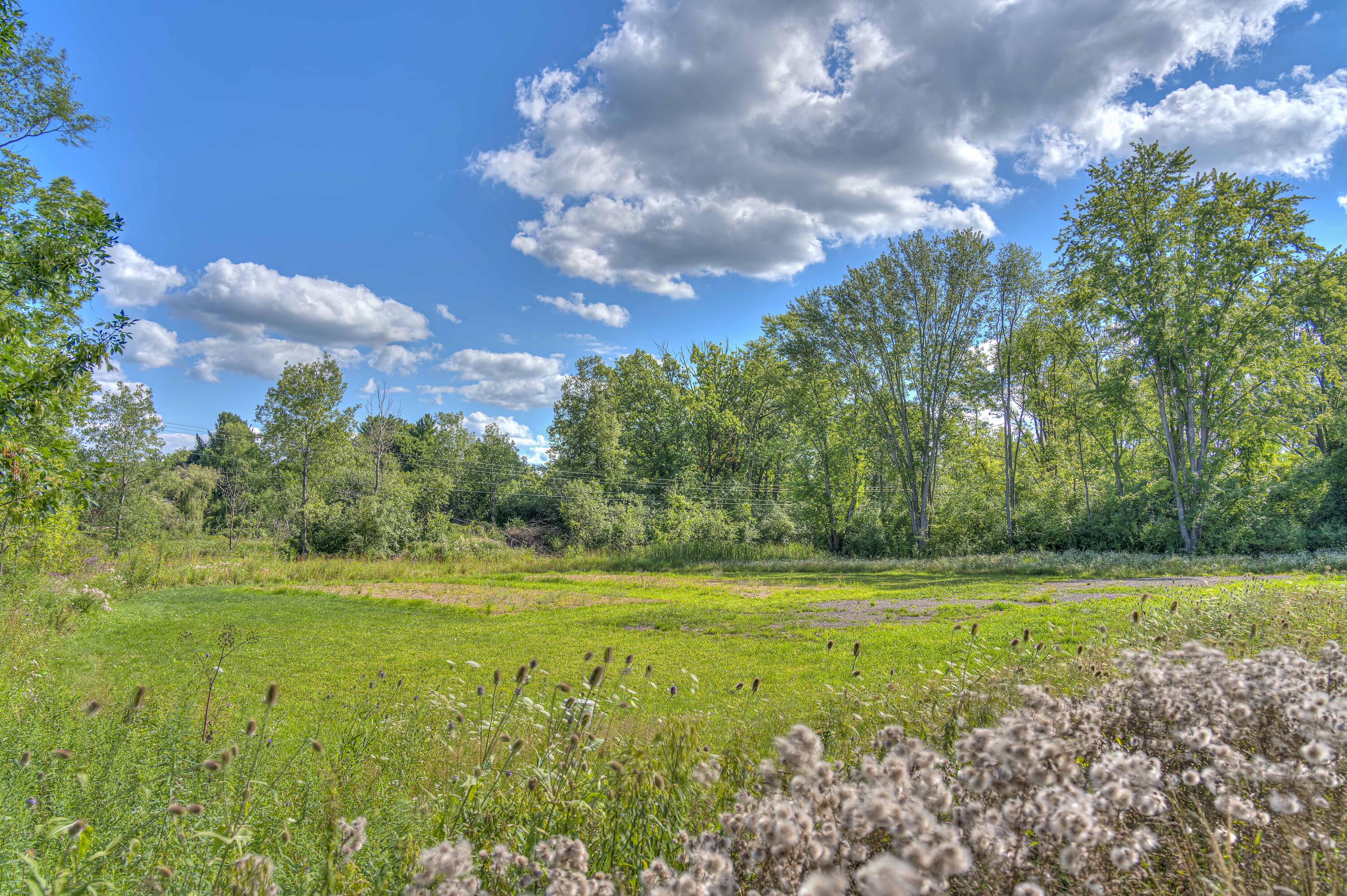 VL Spring Arbor Rd Road