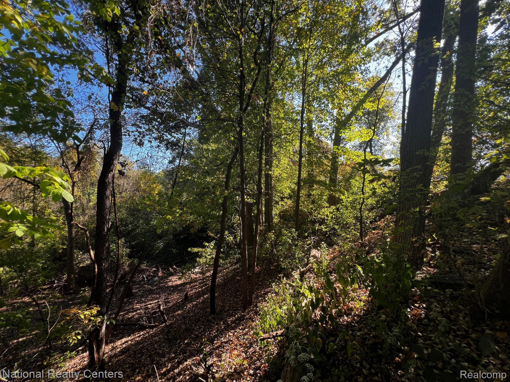0000 Serenity Road
