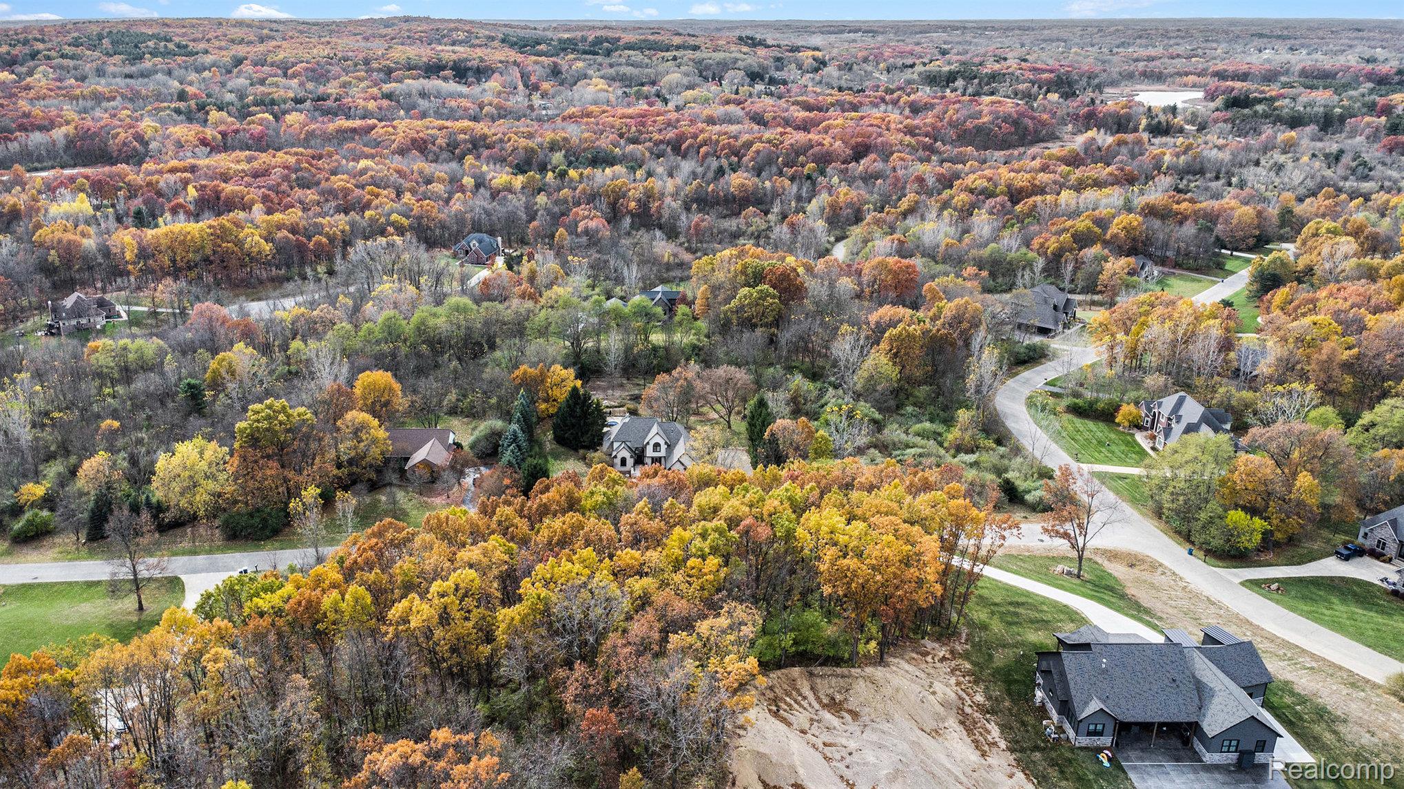 11136 Delphinium Drive