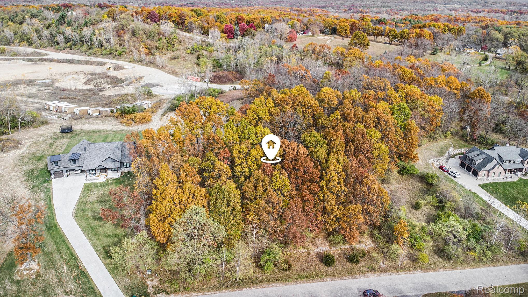 11136 Delphinium Drive