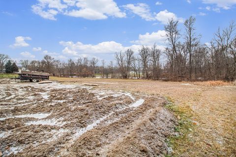 Tiny photo for 410 Canfield Street, Milan City, MI 48160 (MLS # 81026001825)