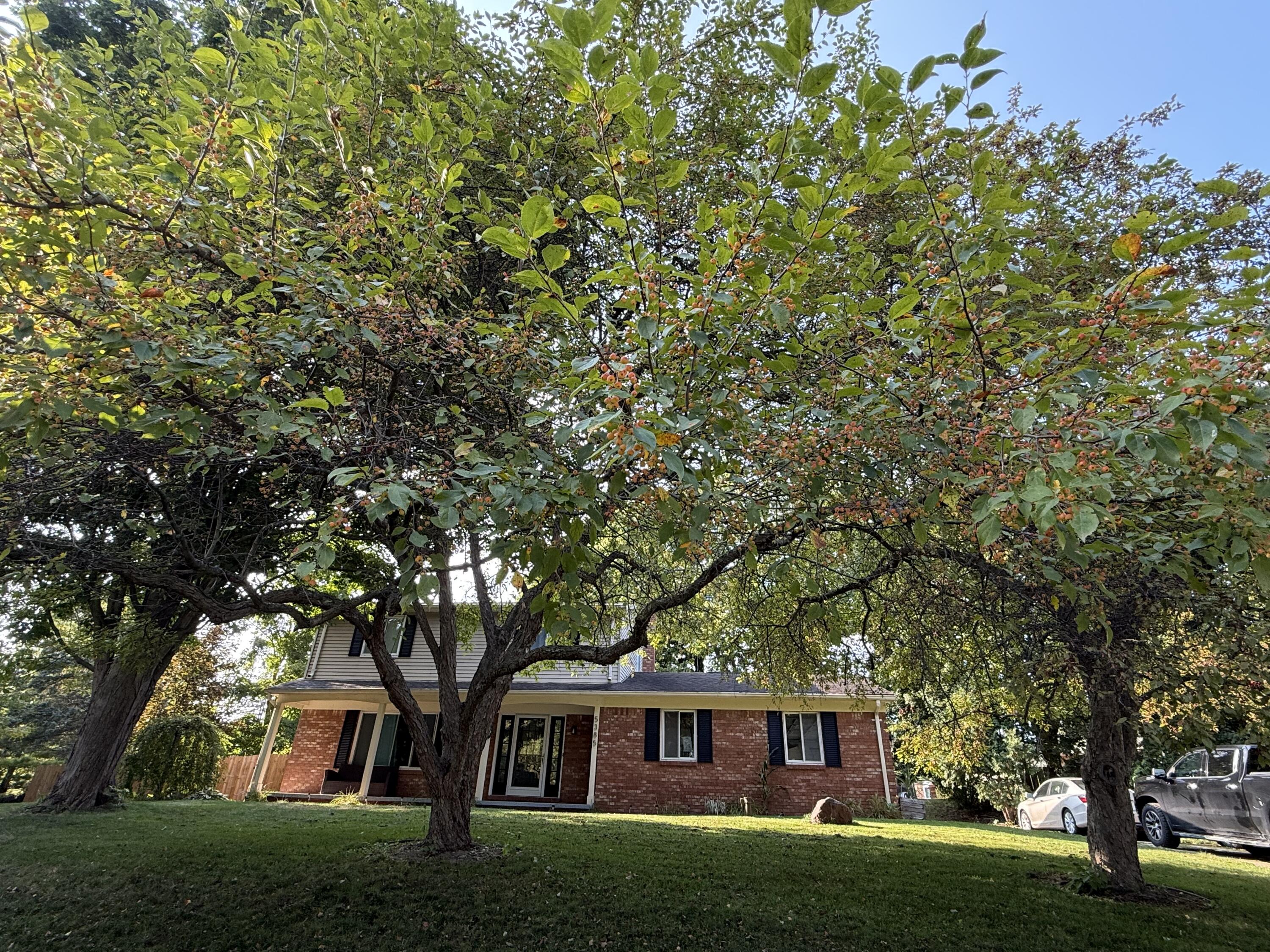 5385 Milane Circle