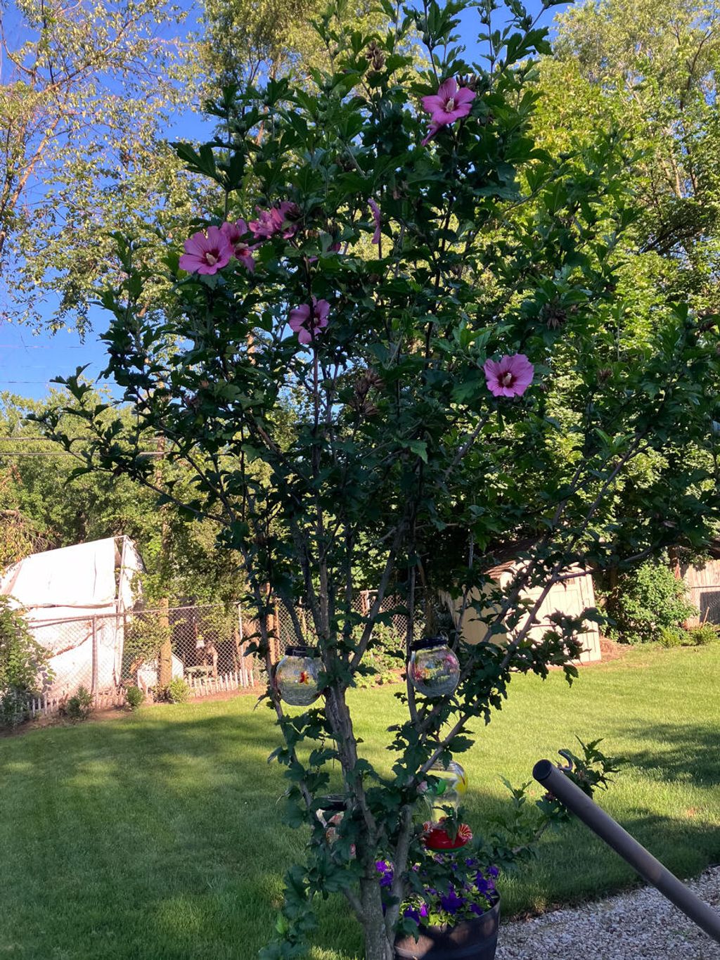 listing image 38
