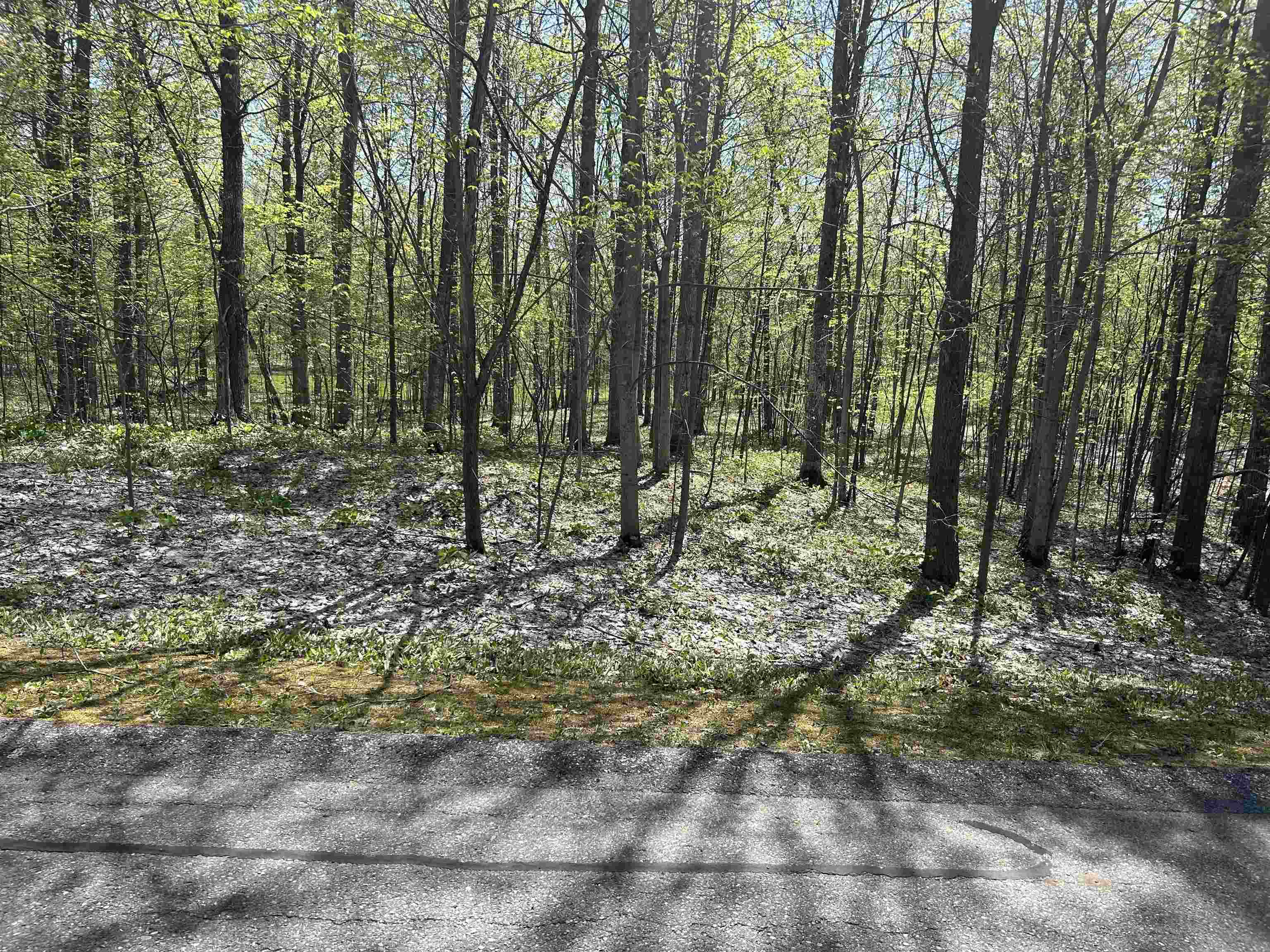 Lot 8 Whitetail Drive