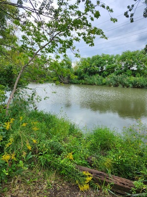 184 NORTH DR, WYANDOTTE, MI 48192 - Image 13c32b1a856ce7dbb756c0253c5fdb62/242968562