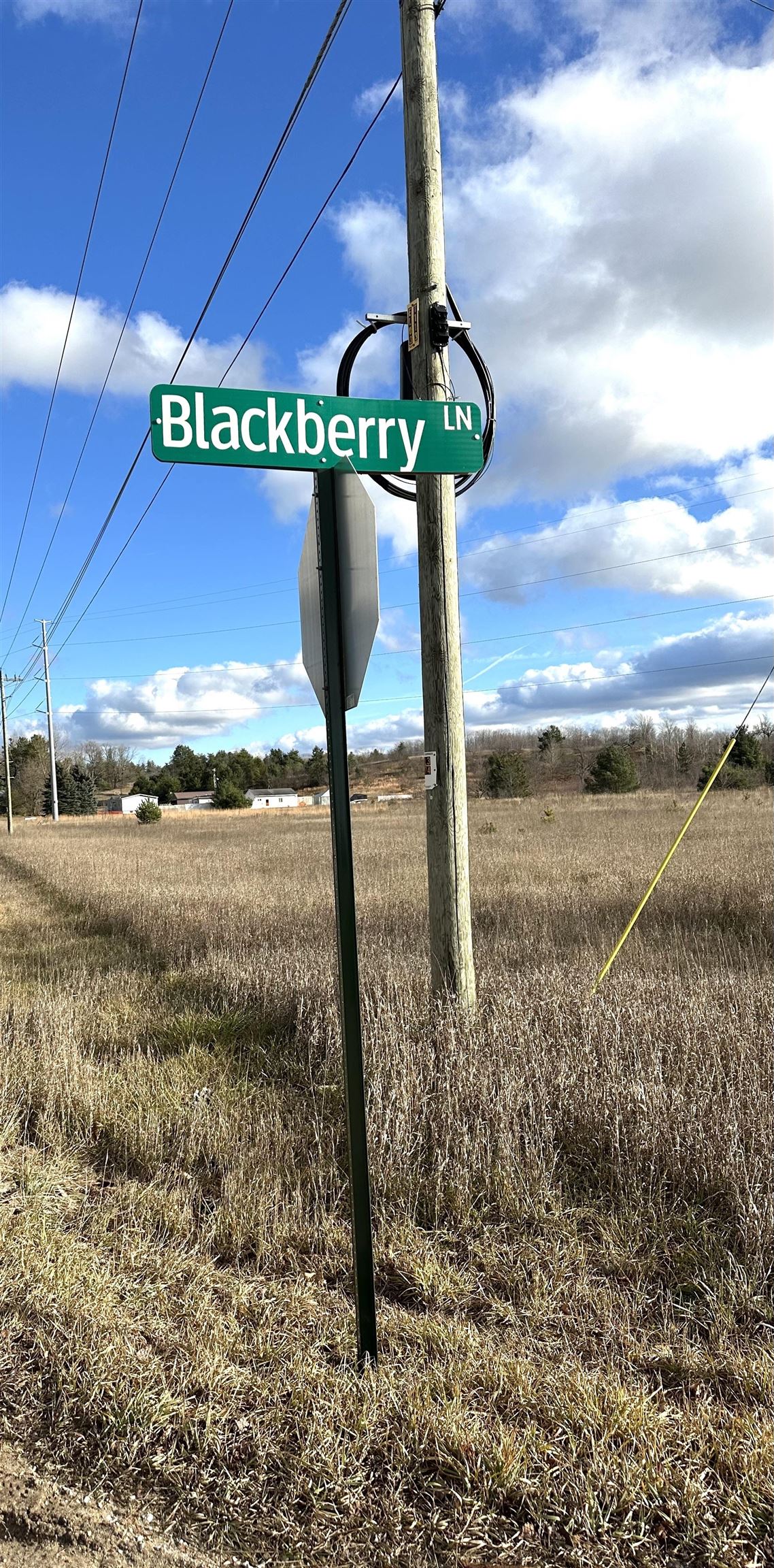 TBD Blackberry Lane