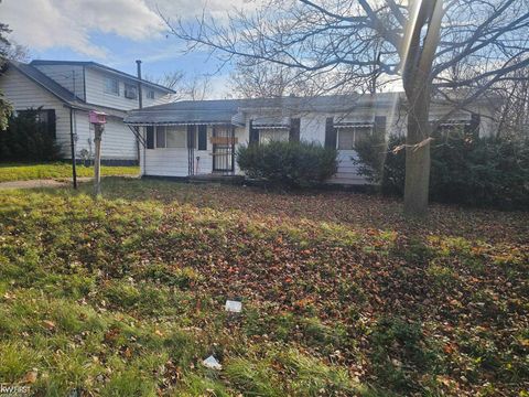 1359 Princeton Avenue Mt Morris Township MI 48505