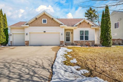 13335 Patchin Drive Crockery Township MI 49448