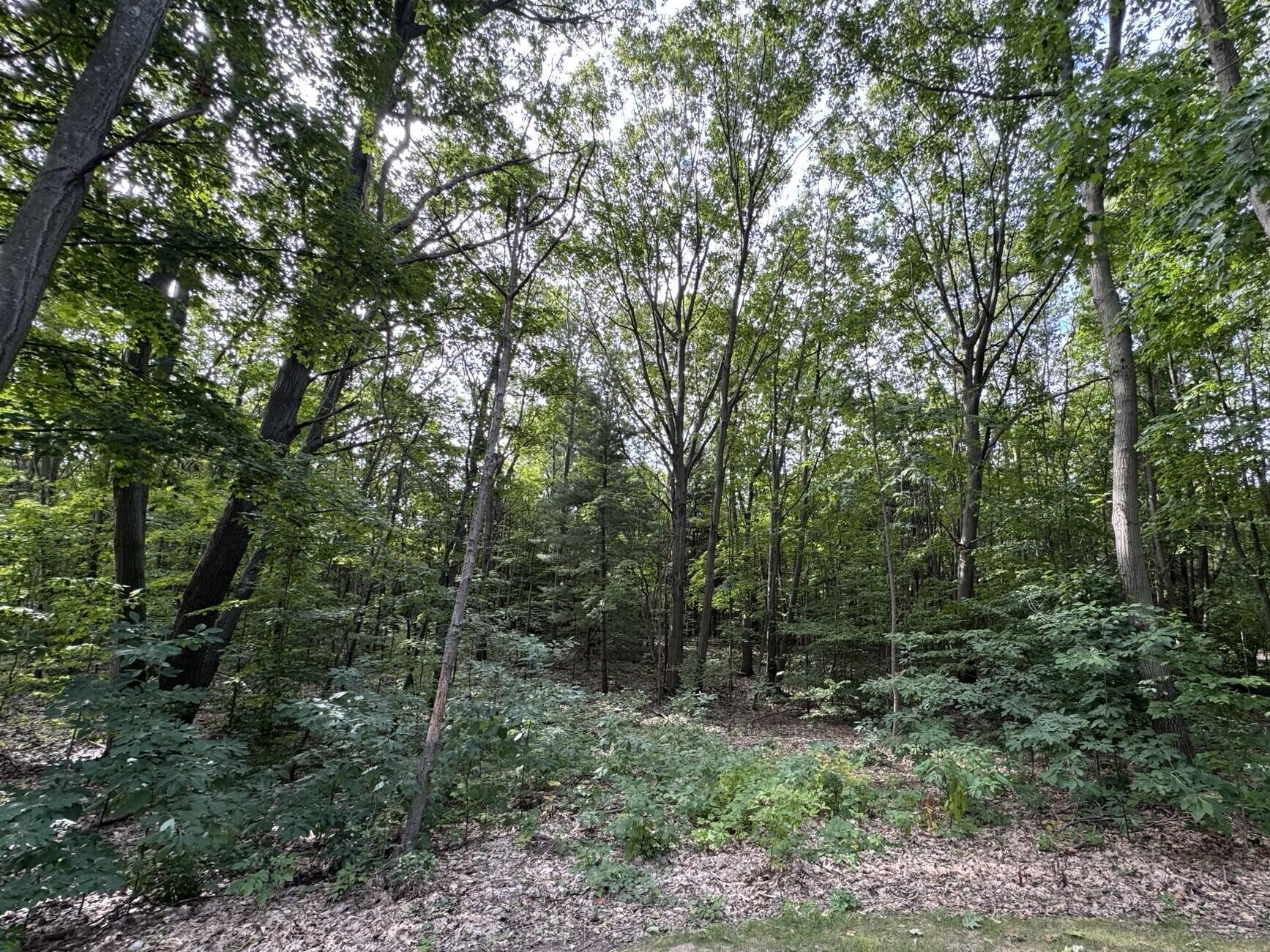 76757 Wood Crest Court