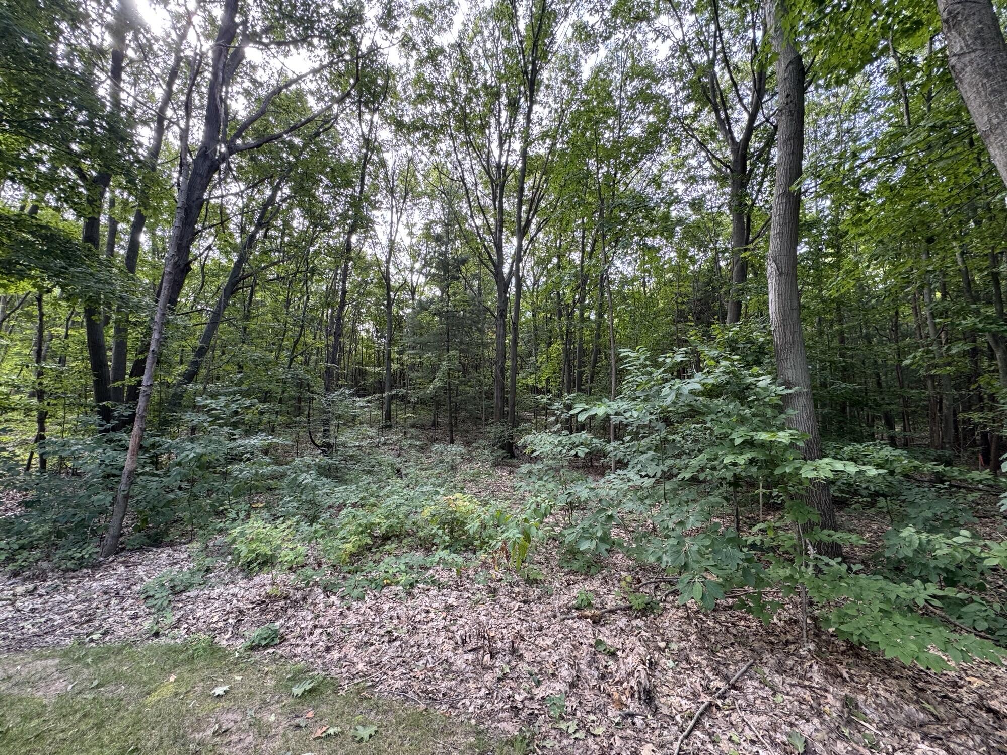 76757 Wood Crest Court