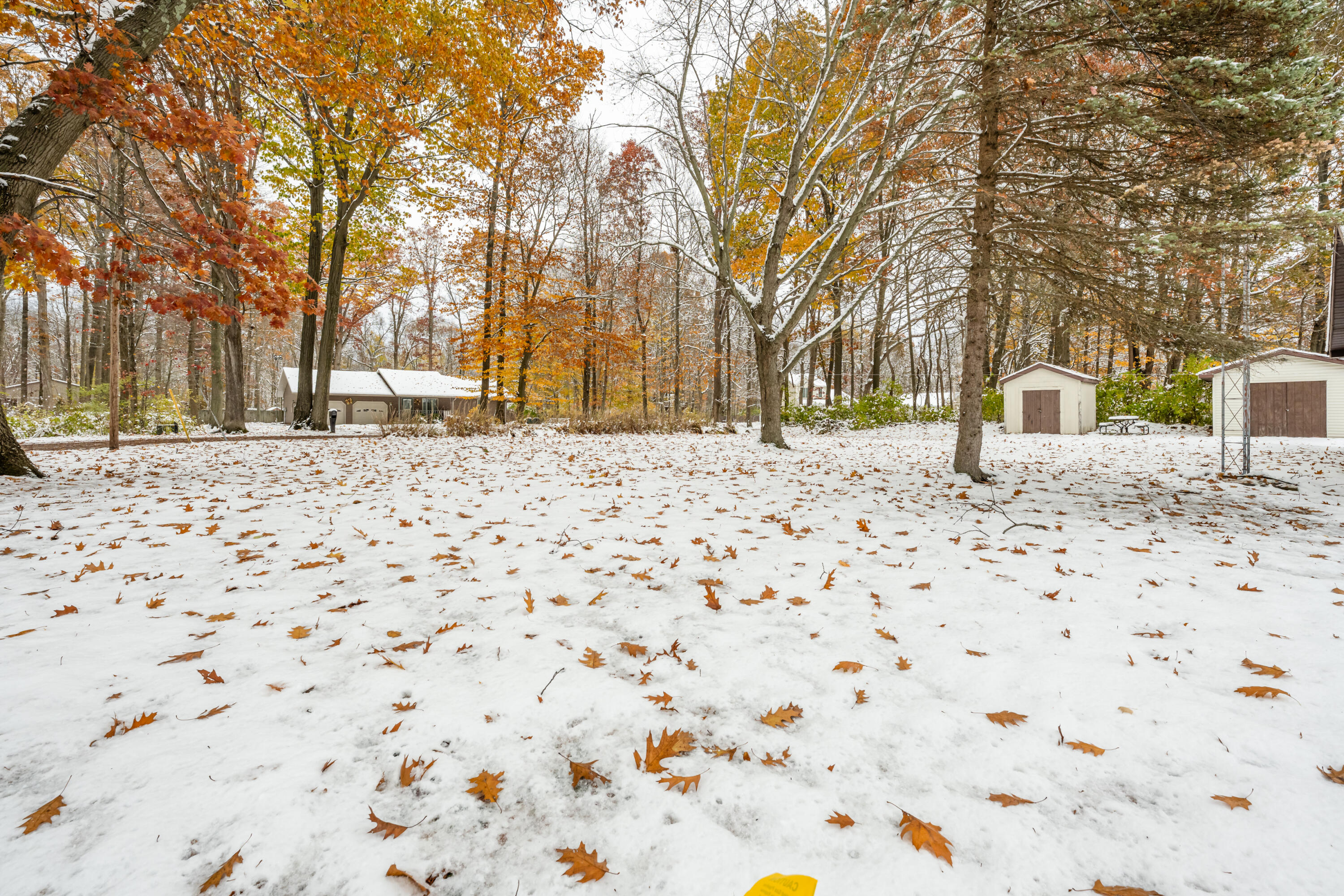 5081 Woodward Avenue