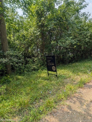 WARD RD, BLOOMFIELD HILLS, MI 48302 - Image 143b1256a2536cce9910696803f42d05/3259190263