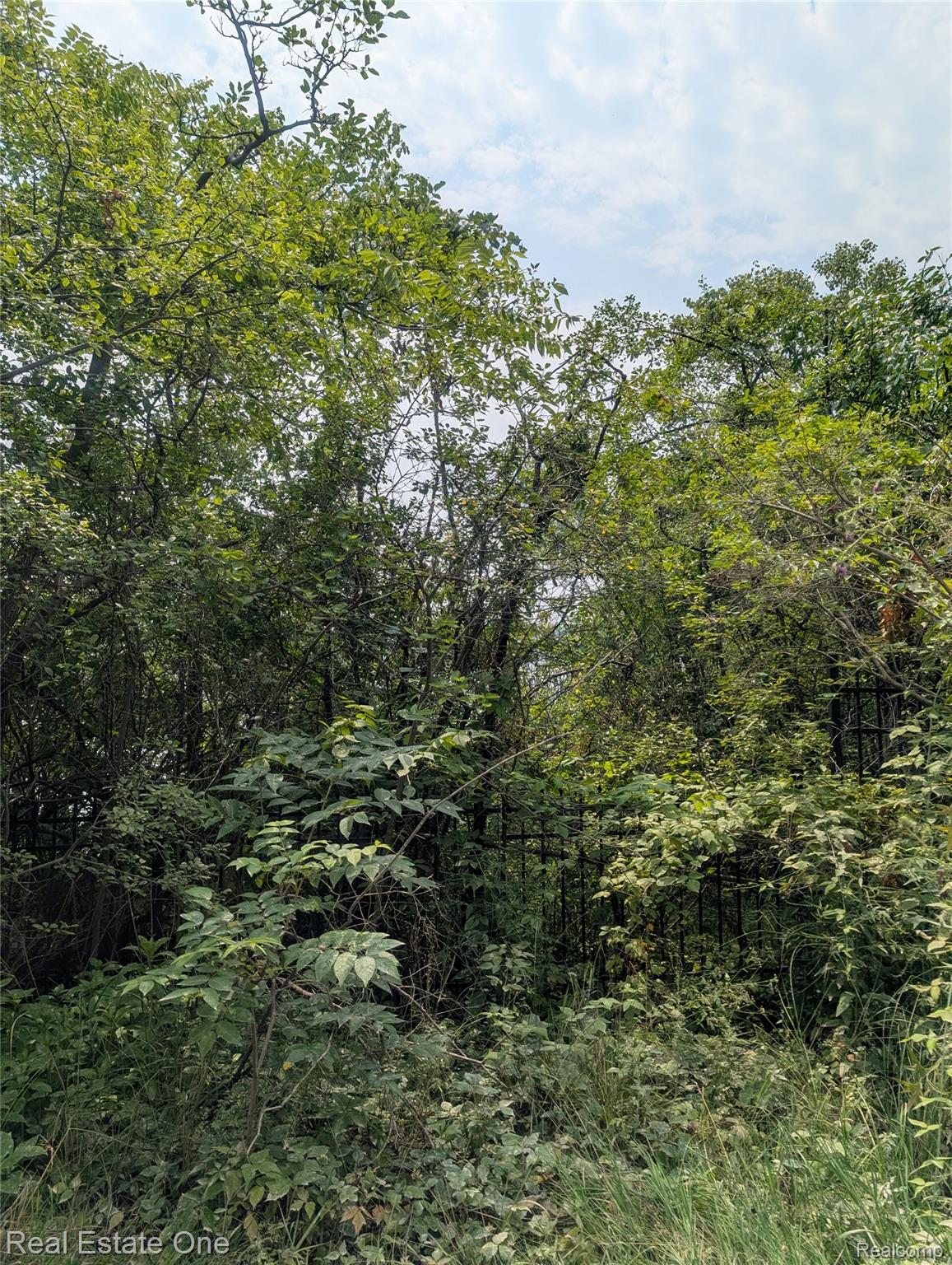 0000 Ward Road Ward Road Road