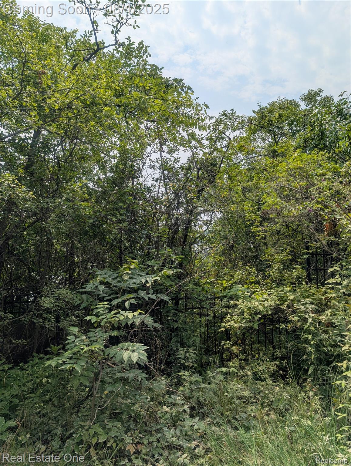 0000 Ward Road Ward Road Road