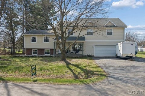 264 Normady Drive Onsted Village MI 49265