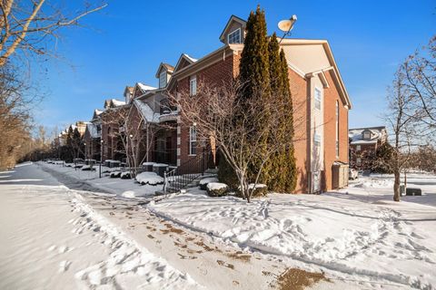 217 W Oakbrook Drive Ann Arbor City MI 48103