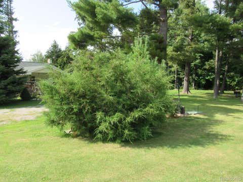 Tiny photo for 7840 M 65 S, Green Township, MI 49753 (MLS # 20261066470)