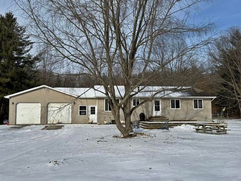 4344 7 Mile Road Wheatland Township MI 49340
