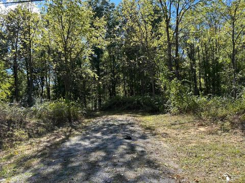 W Rauch Road Bedford Township MI 48182