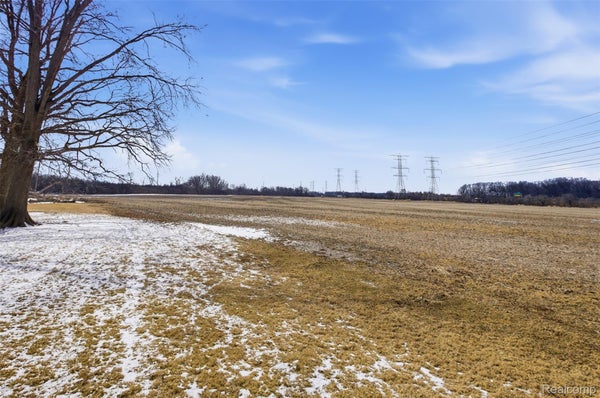 21301 WOODRUFF RD, ROCKWOOD, MI 48173 - Image 15782f3ff2bc3edb2fb5cc60be26d03a/3720589976