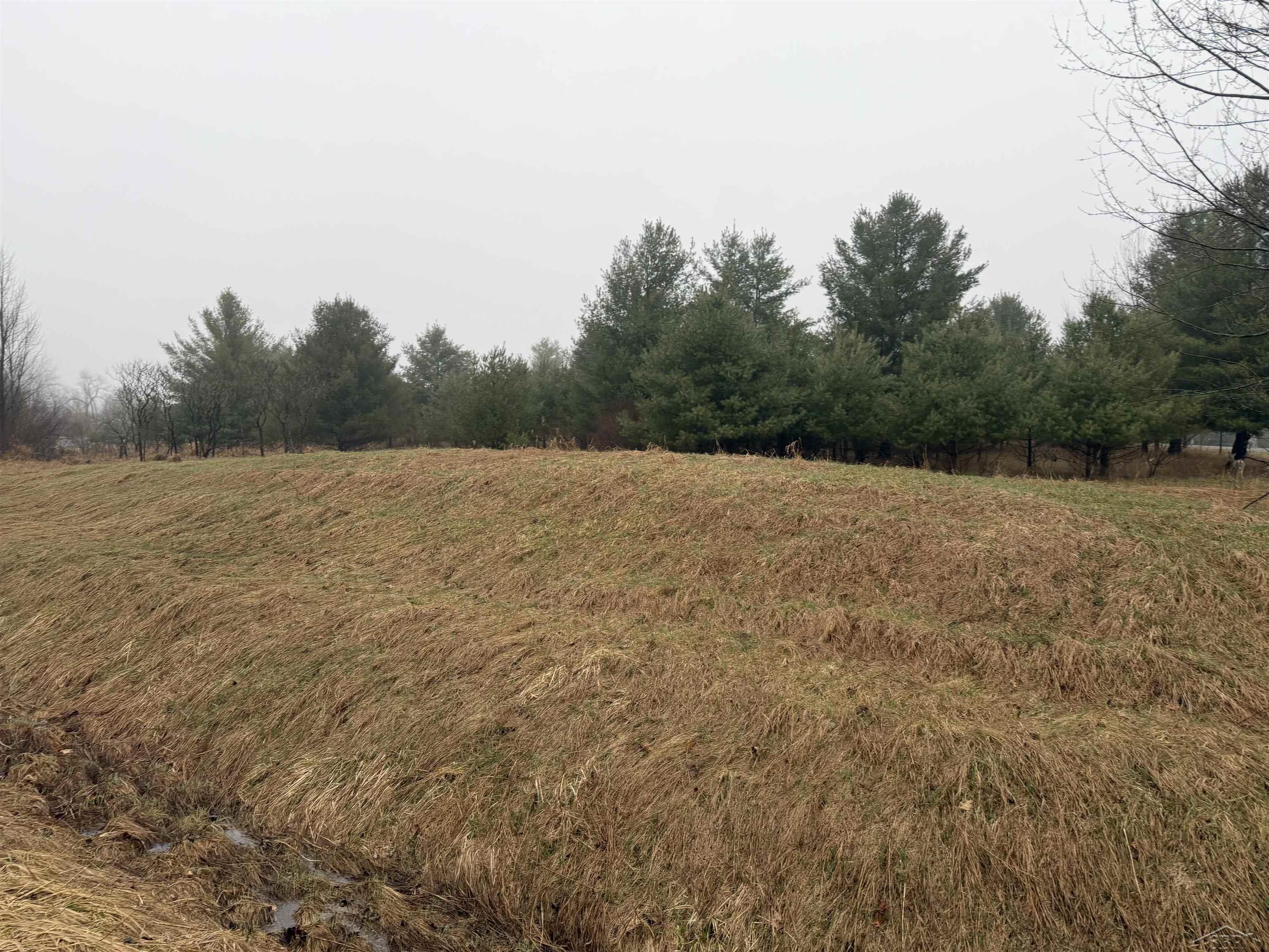 Track Iron Trail