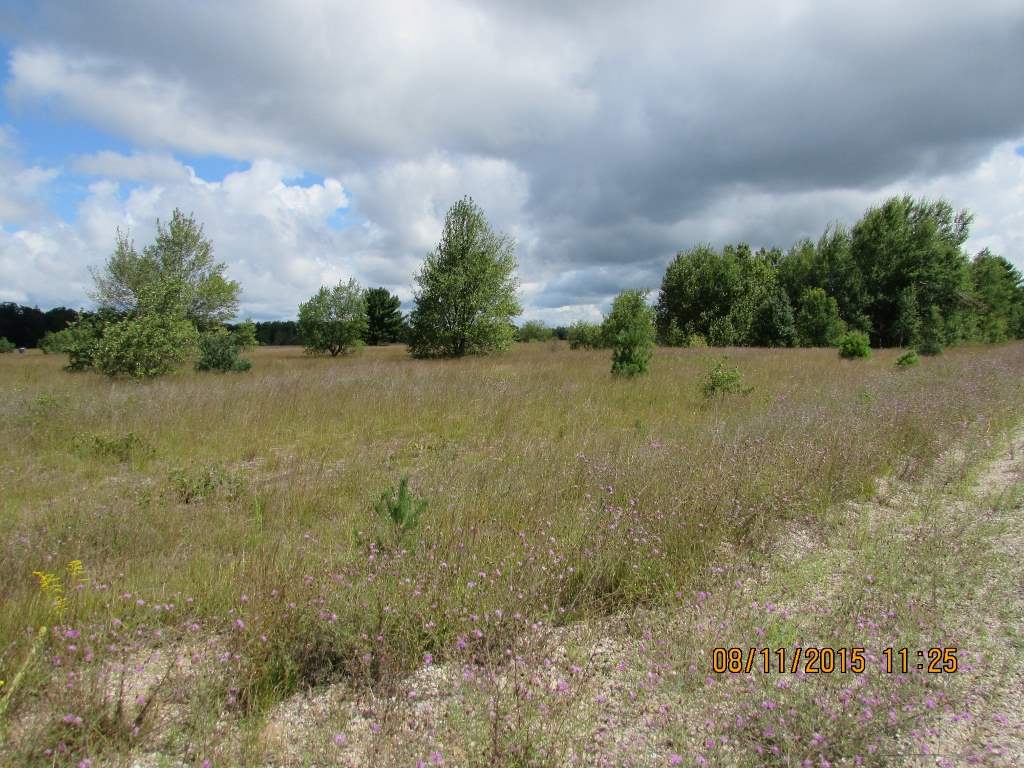 Unit 3 Grouse Drive