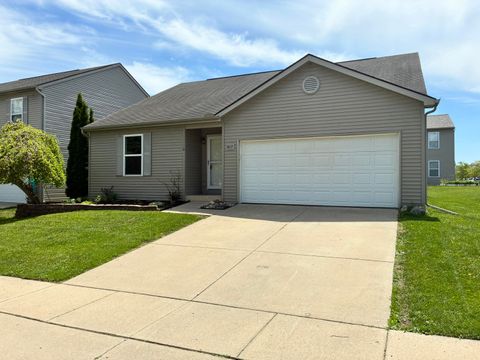 8603 Cass River Drive Handy Township MI 48836