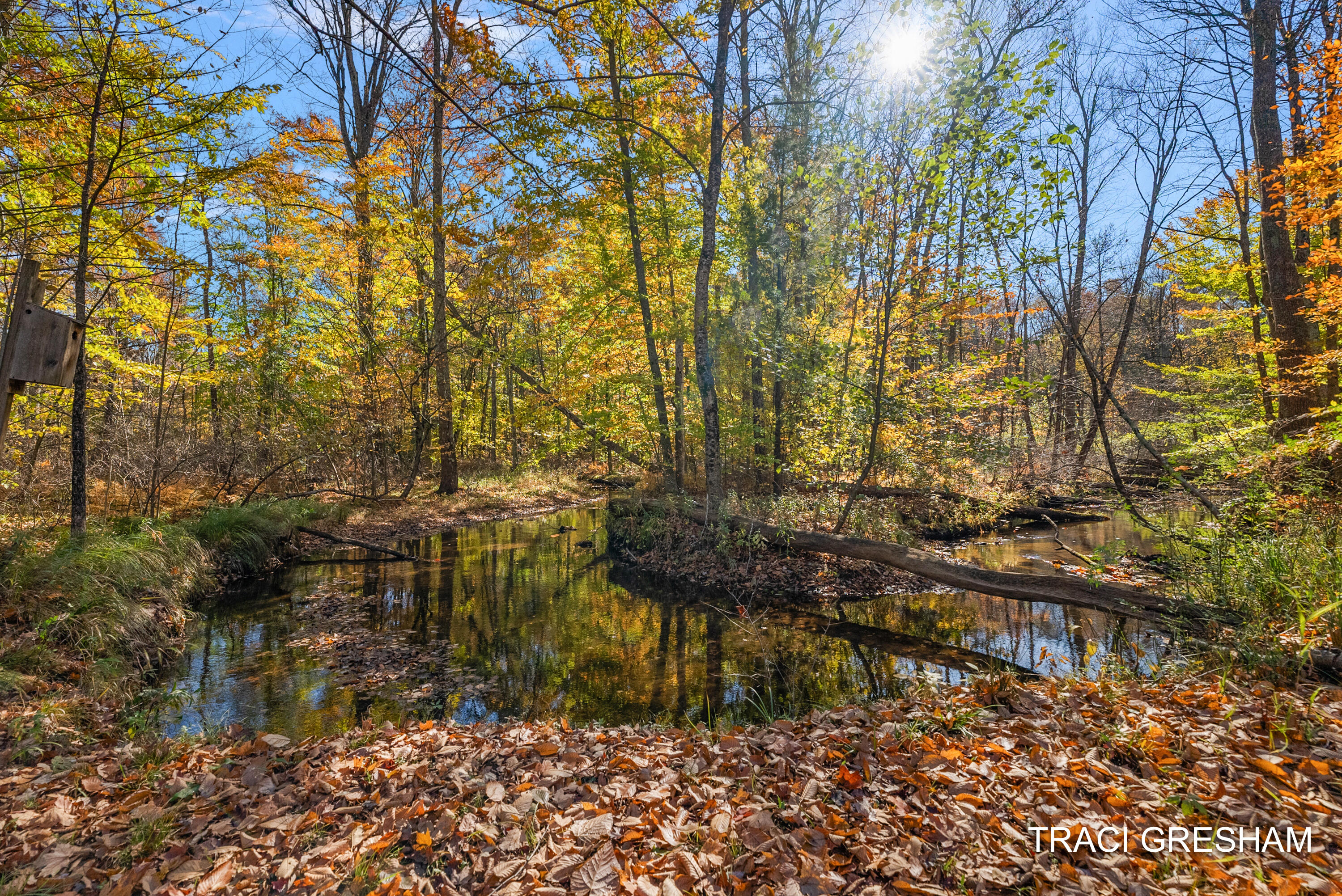 4960 S Hilton Park Road