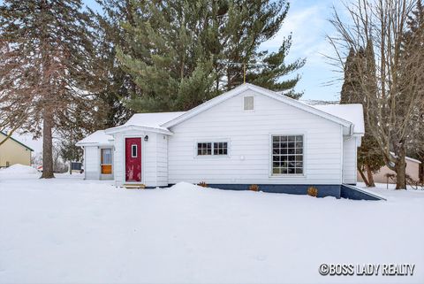 Photo of 204 S Grove Street, Stanton City, MI 48888 (MLS # 65026004469)