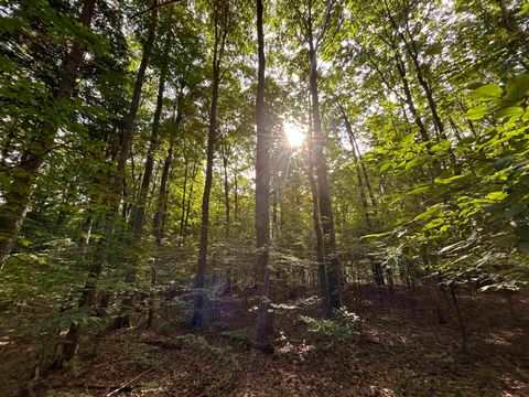 000 Langs Lane Inland Township MI 49643