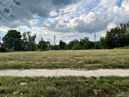 2229 W GRAND BLVD, DETROIT, MI 48208 - Image 16eeef07ced7349cde2efbe5f3ef1a05/1468405399