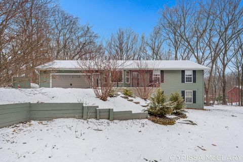 8409 Squires Street NE Courtland Township MI 49341