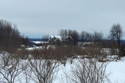 7634 Saddle Ridge Drive Grant Township MI 49637