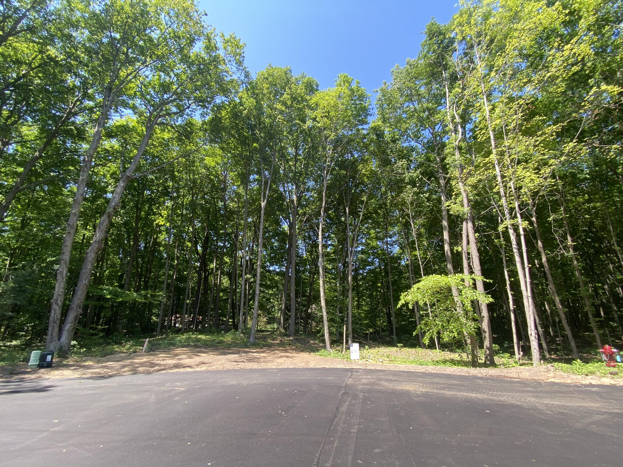 14606 Crest View Court