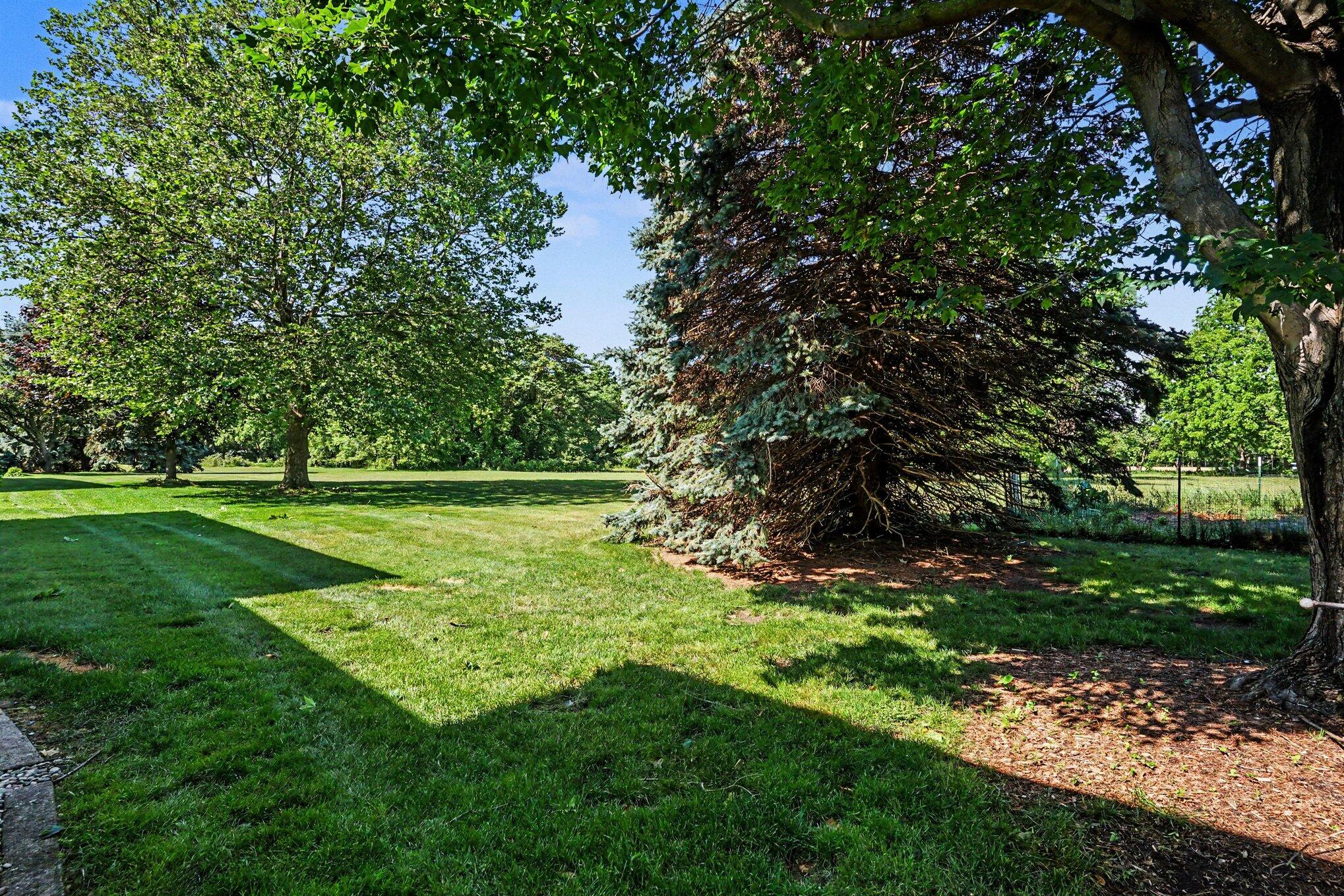 297 Harvest Lane
