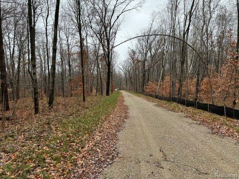 Parcel 2 MCCLEMENTS Road Brighton Township MI 48114