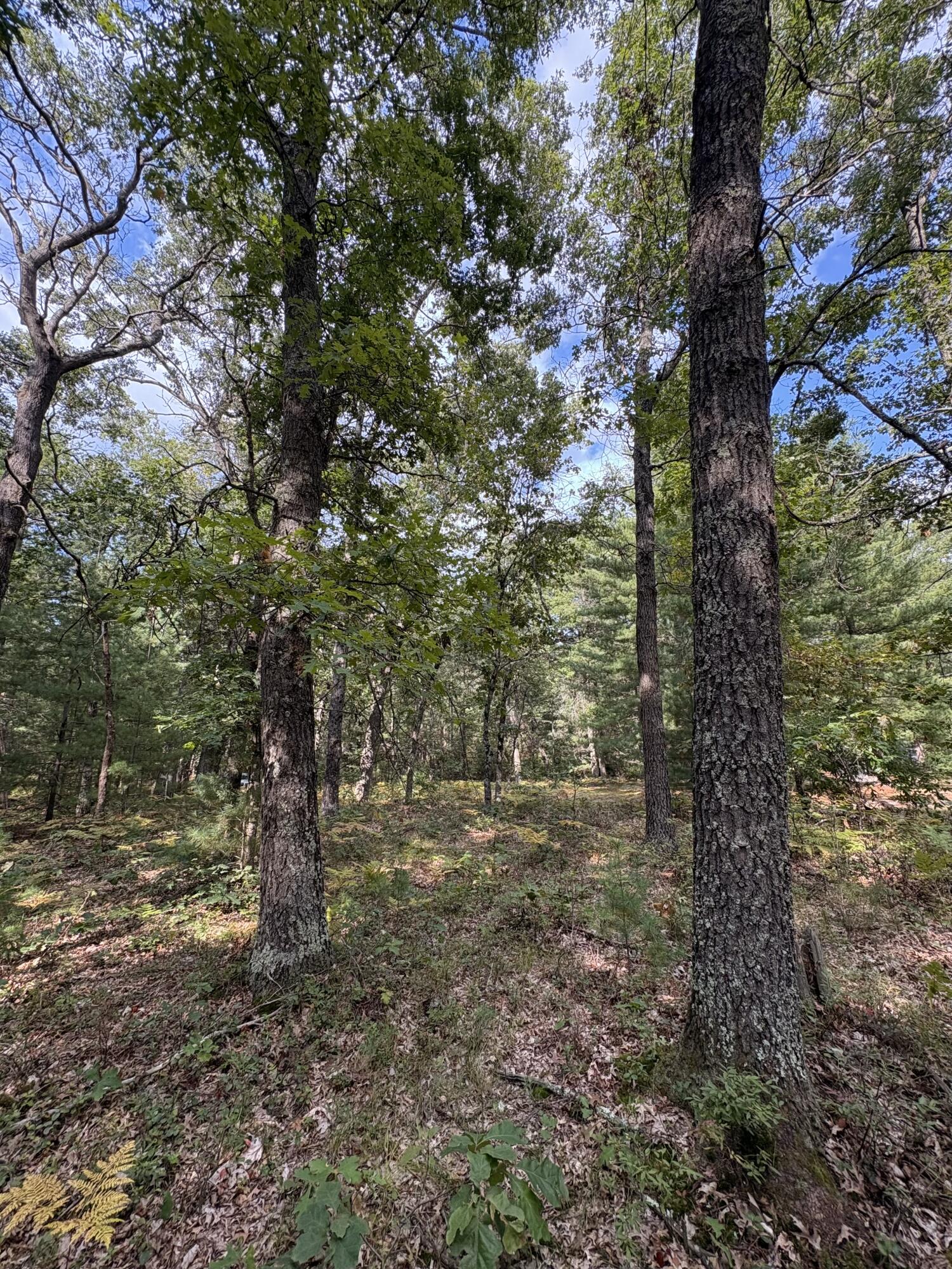 0 S Shady Grove Drive