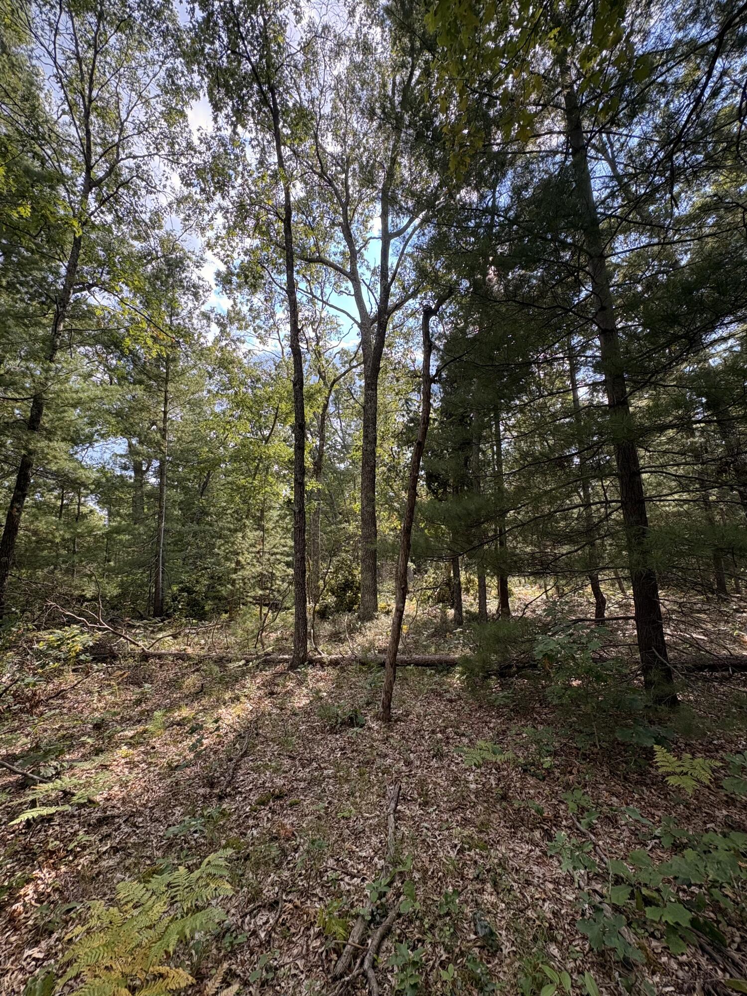 0 S Shady Grove Drive