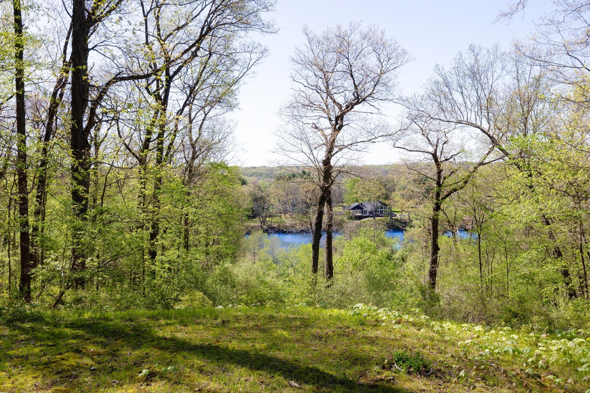 3665 Daleview Drive