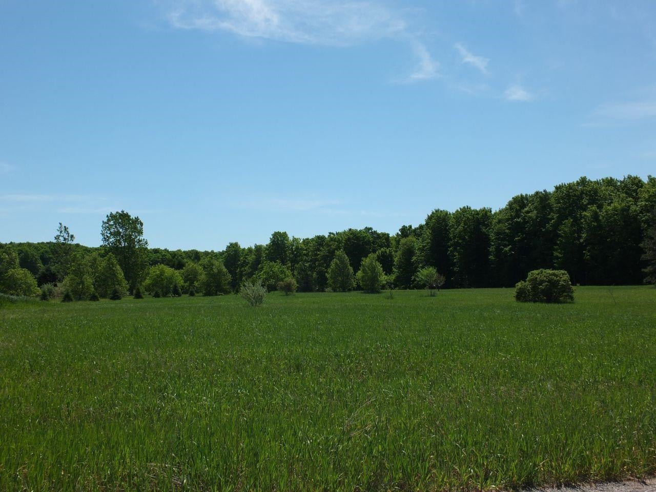Lot 10 Kingsfield Drive
